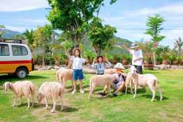 Tour Nha Trang 3N2Đ: Kong Forest - Đảo Mun - Hòn Tằm - Hang Rái - Vĩnh Hy - Đồng Cừu